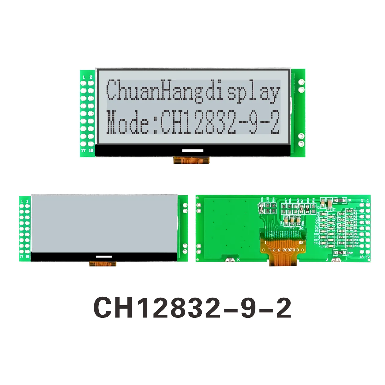 Module d'affichage LCD graphique CH12832-9-2 (COG+PCB)